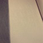 Pregrinjalo Pika bez